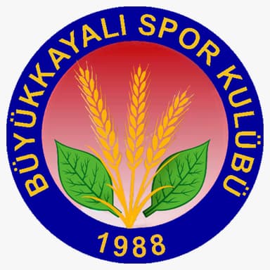 Büyükkayalı SK Logo